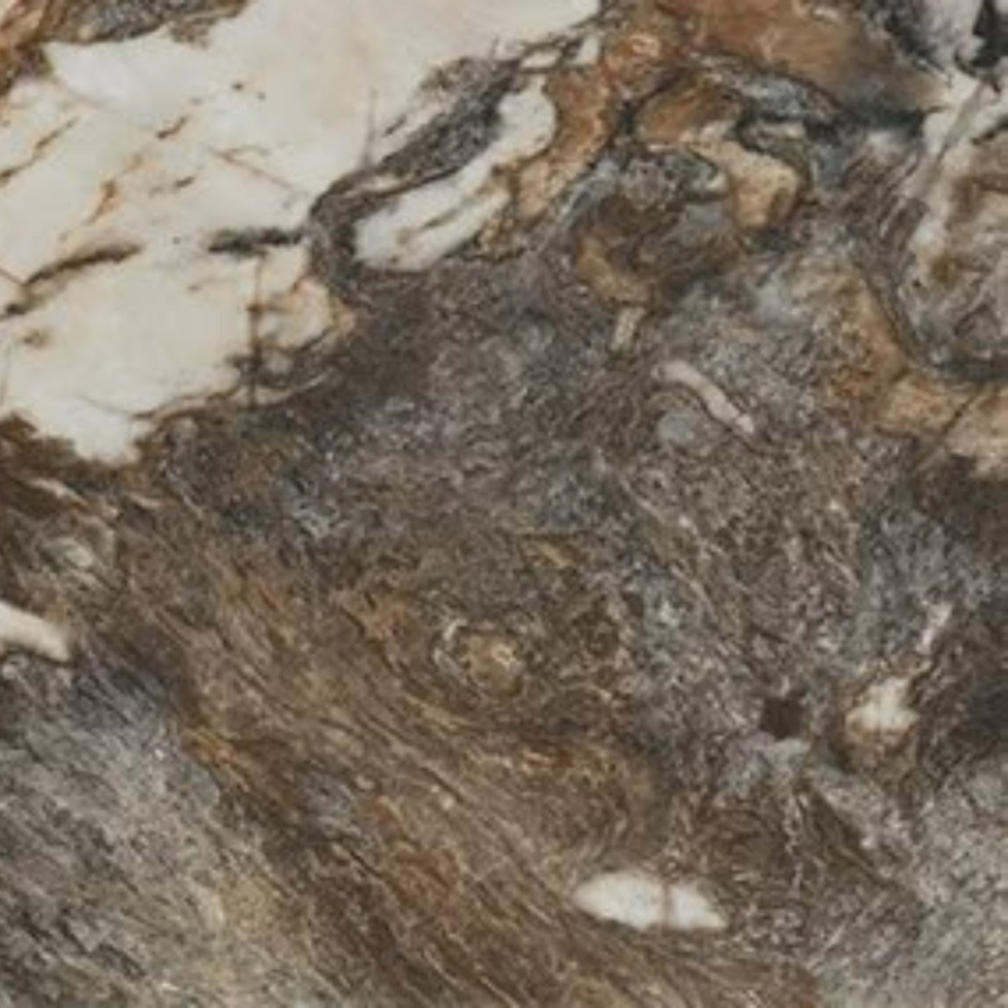 Foyer in Contrast-12x24-Matte Tile