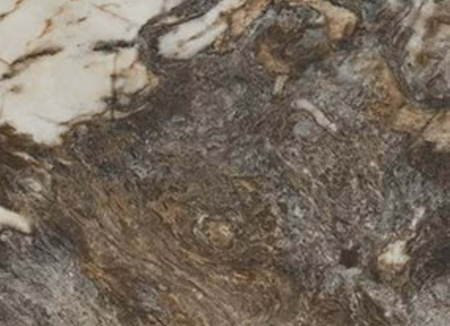 Foyer in Contrast-12x24-Matte