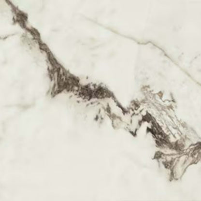 Foyer in Summit-12x24-Polished Tile