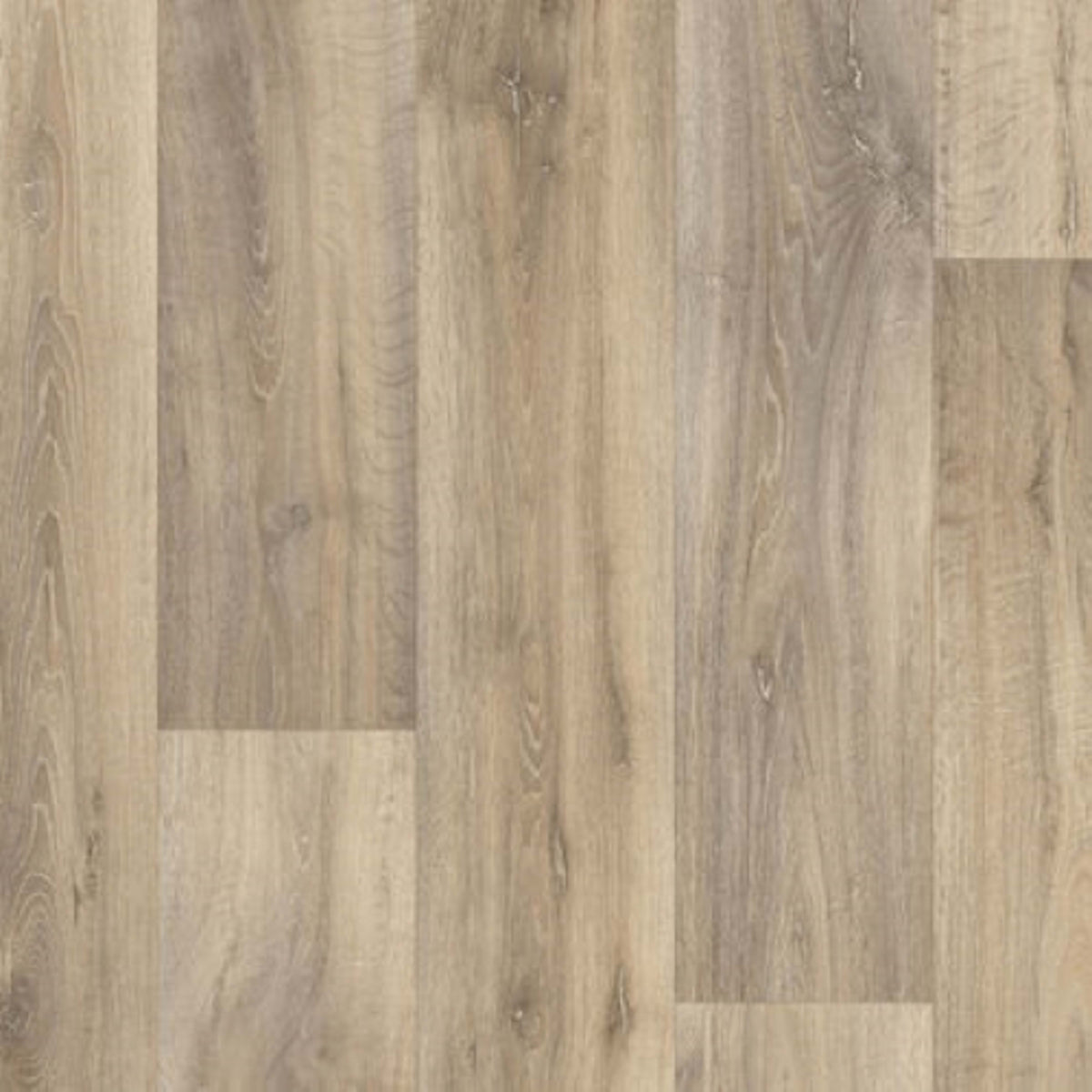 Reflect+ in Fable Oak Latte Vinyl Sheet Goods