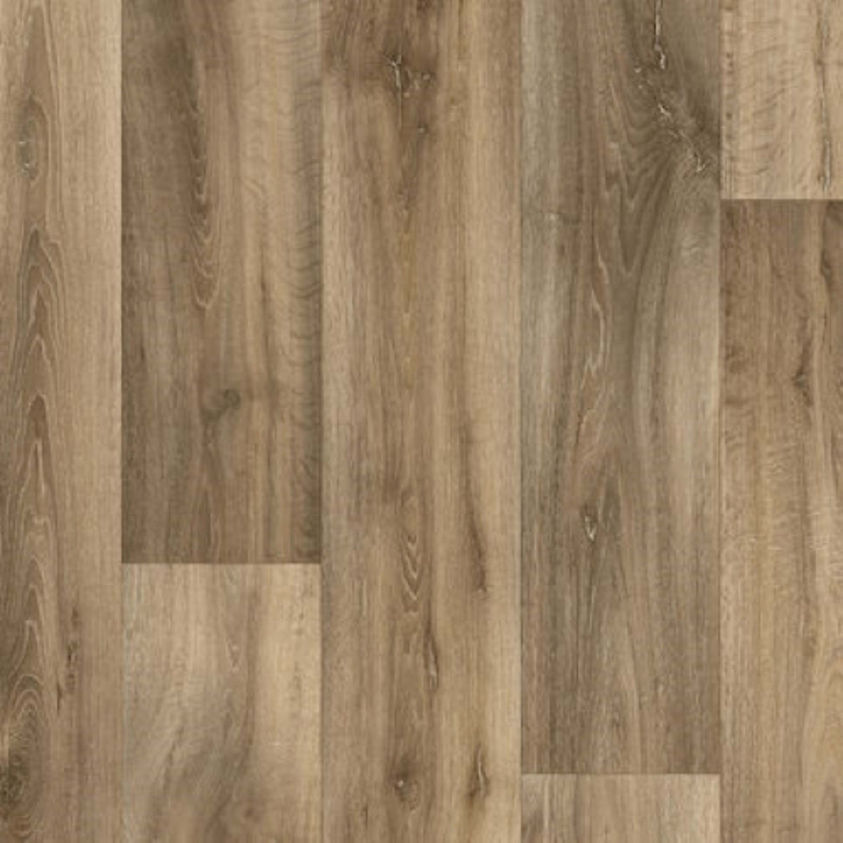 Reflect+ in Fable Oak Peanut Vinyl Sheet Goods