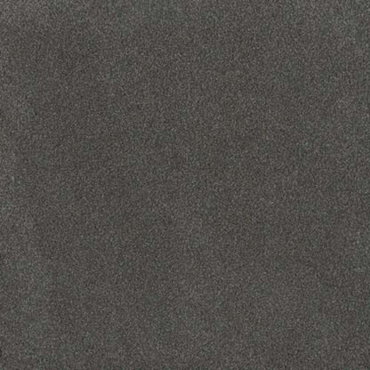 PALMETTO I in Flint Carpet