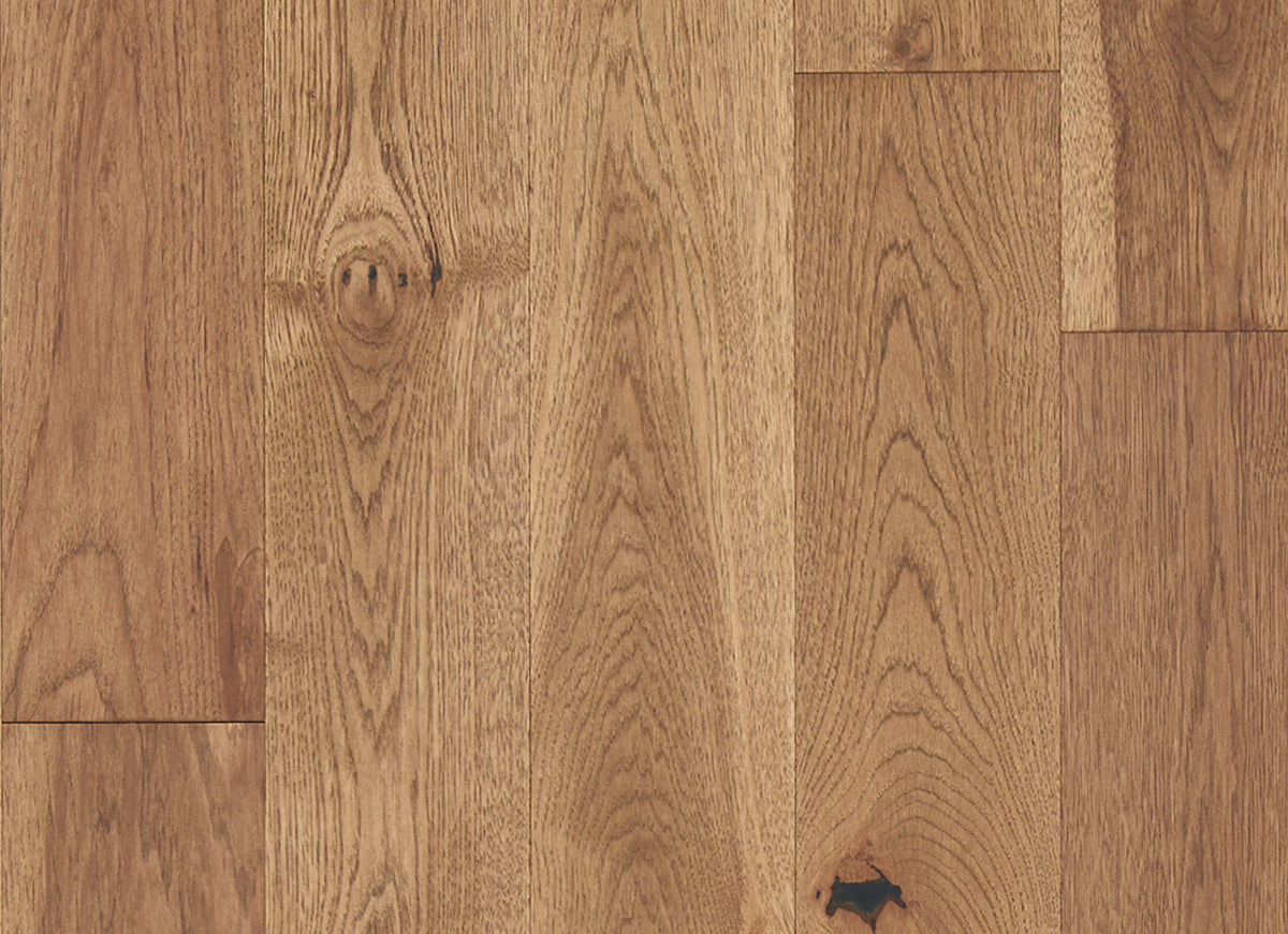Latitude Collection - Forest Park in Sunbeam