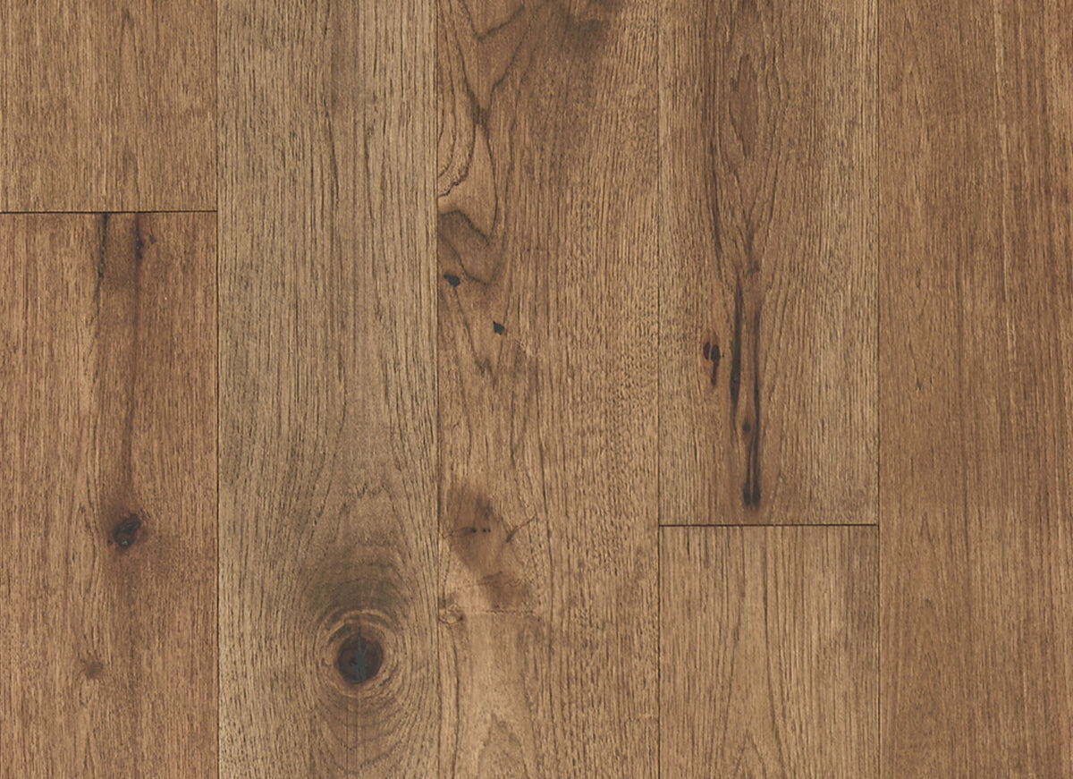 Latitude Collection - Forest Park in Trail