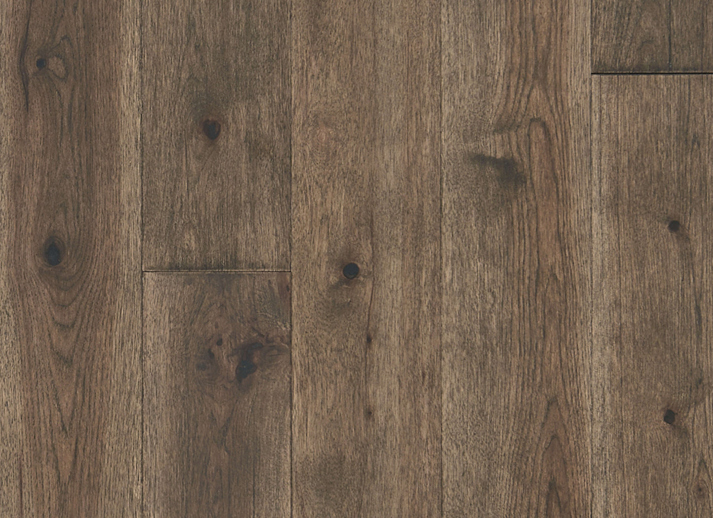 Latitude Collection - Forest Park in Twig