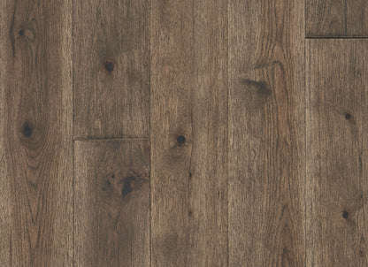 Latitude Collection - Forest Park in Twig