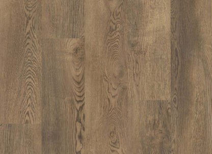 Essence Plank in Franklin Meadow