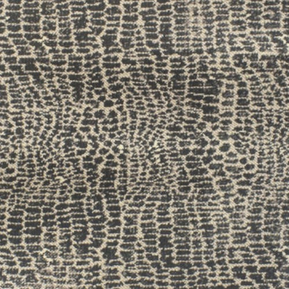 Fuego in Avid Carpet