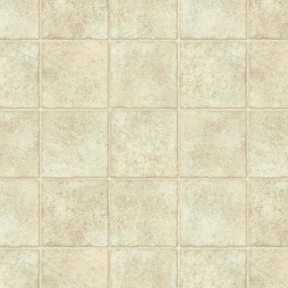 Progressions Huntley Road in Sandstone 12' Vinyl Sheet Goods