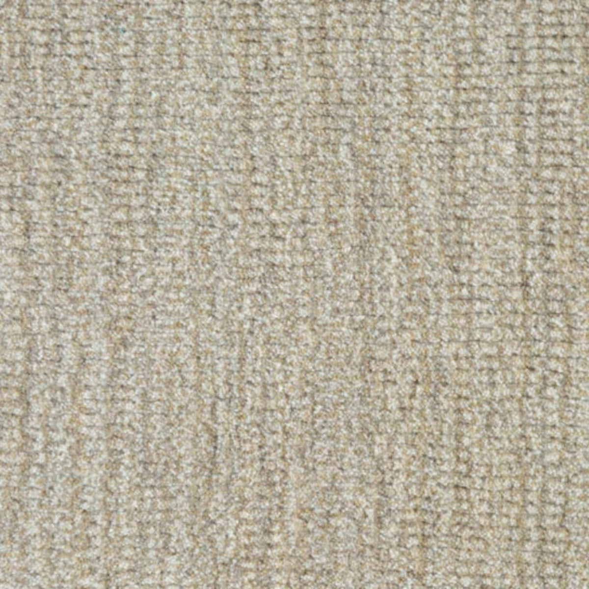 Gansey in Concha Carpet