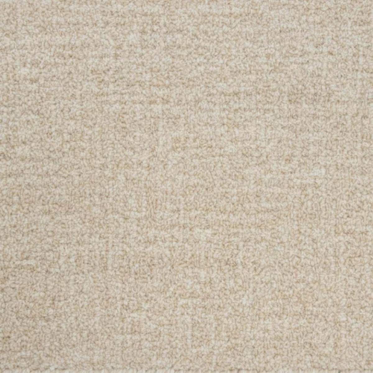 Gavina in Sandcastle Carpet
