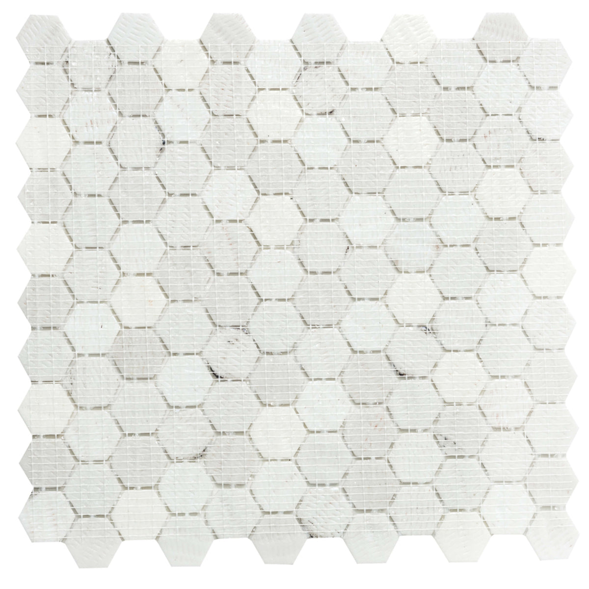 Lynx in Glynxmallbl Glass Tile