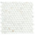 Penny in Calacatta Gold Glass Tile