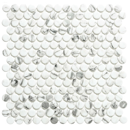 Penny in Fosco Glass Tile