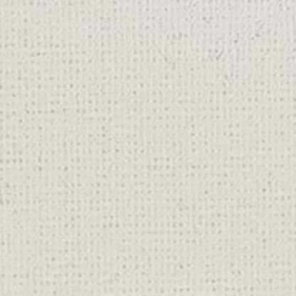 Graceful Transition in Mystique Carpet