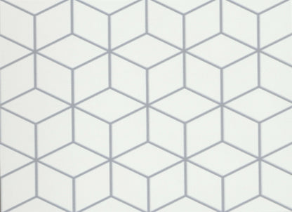 Geometry in Cube Gray 10" X 10"