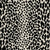 Gotham Cheetah in Onyx Carpet