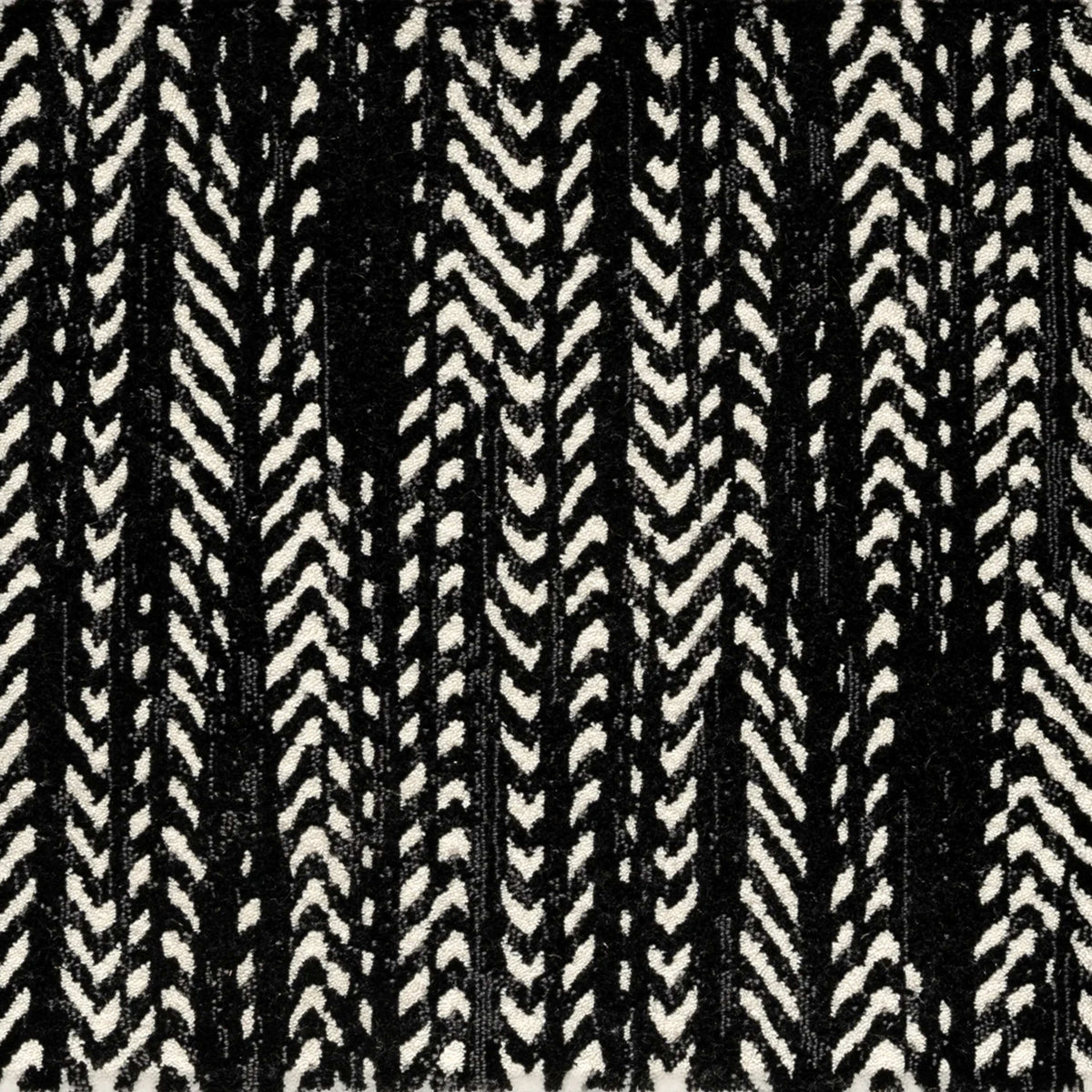 Gotham Lane in Onyx Carpet