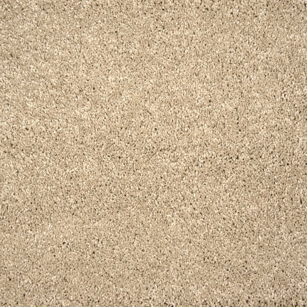 Grail in Sandcastle Carpet