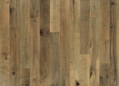Grain & Saw Collection in Greene Maple