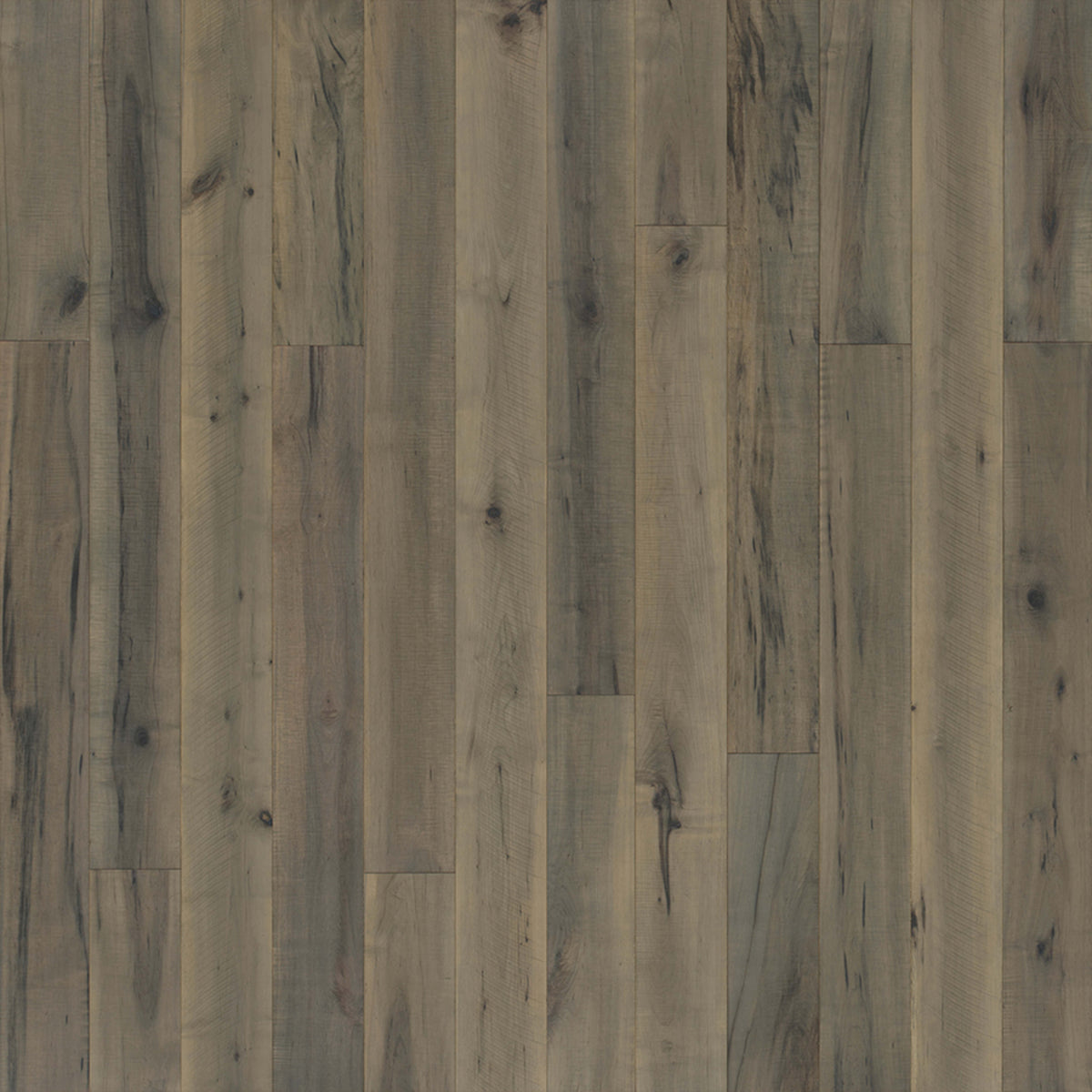 Grain & Saw Collection in Tiffany Maple Hardwood