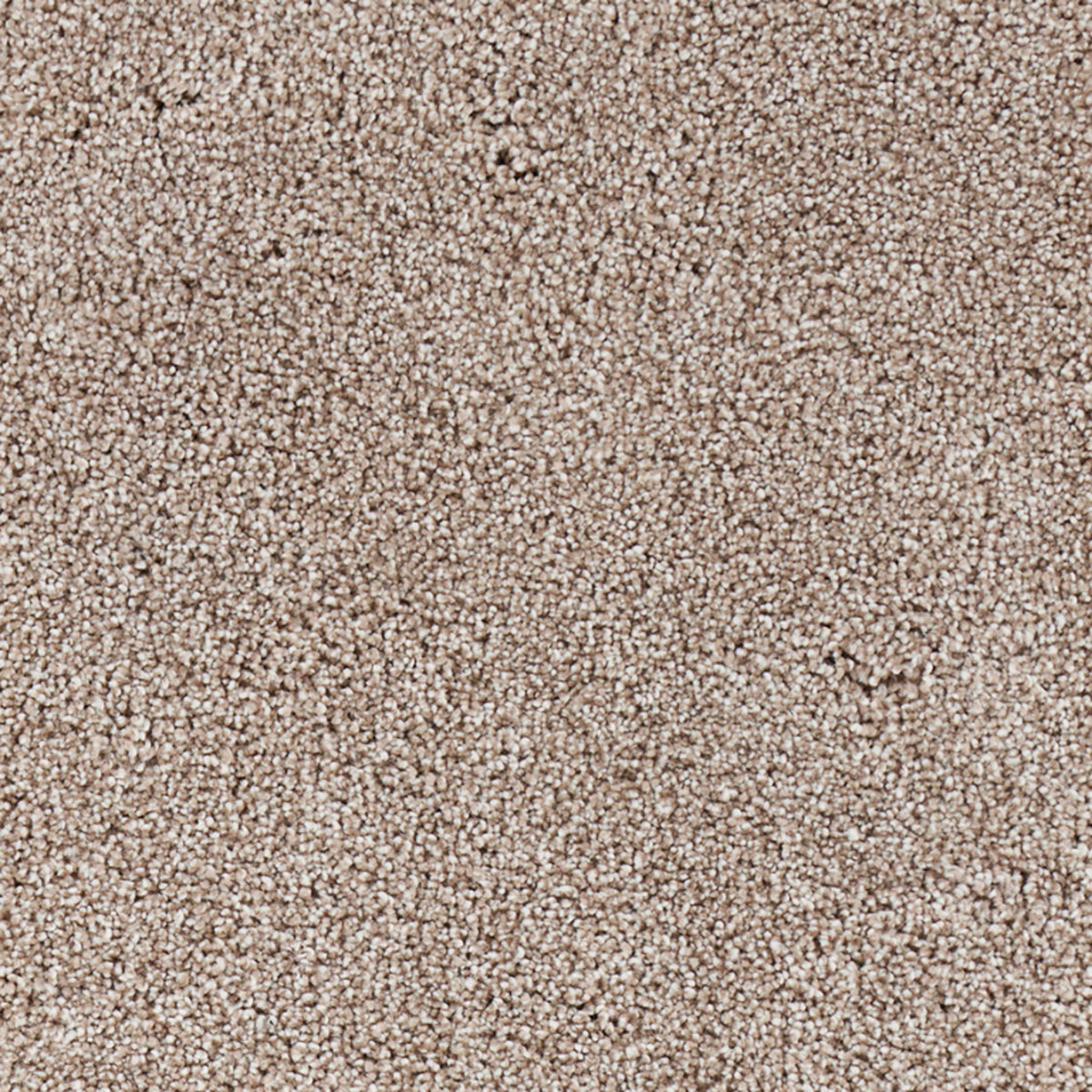 Grand Escape Tonal