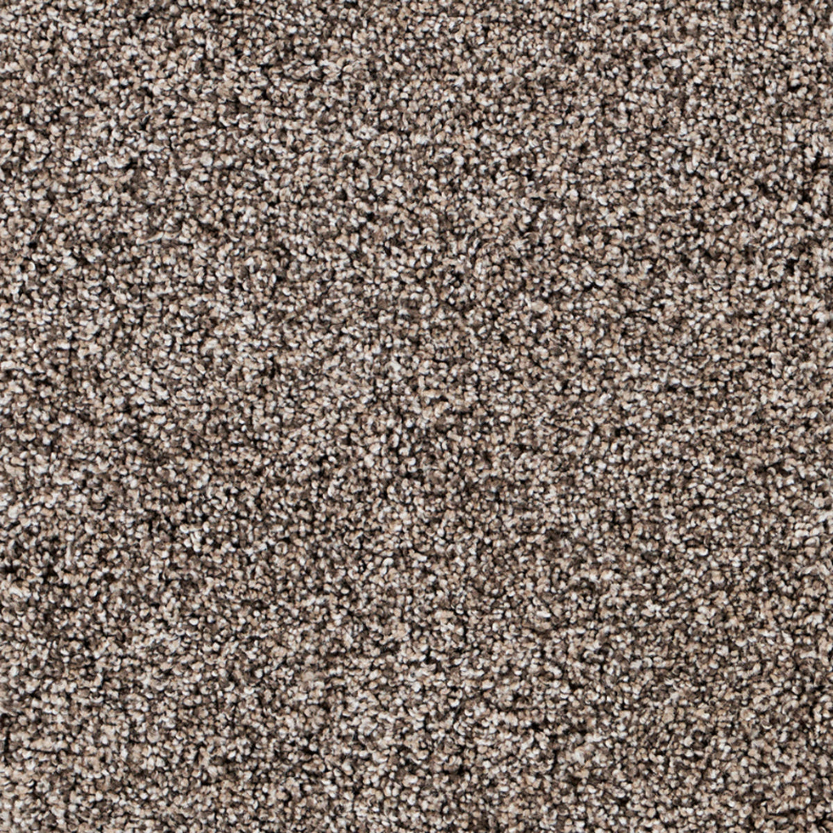 Grand Escape Tweed in Castlewatch Carpet