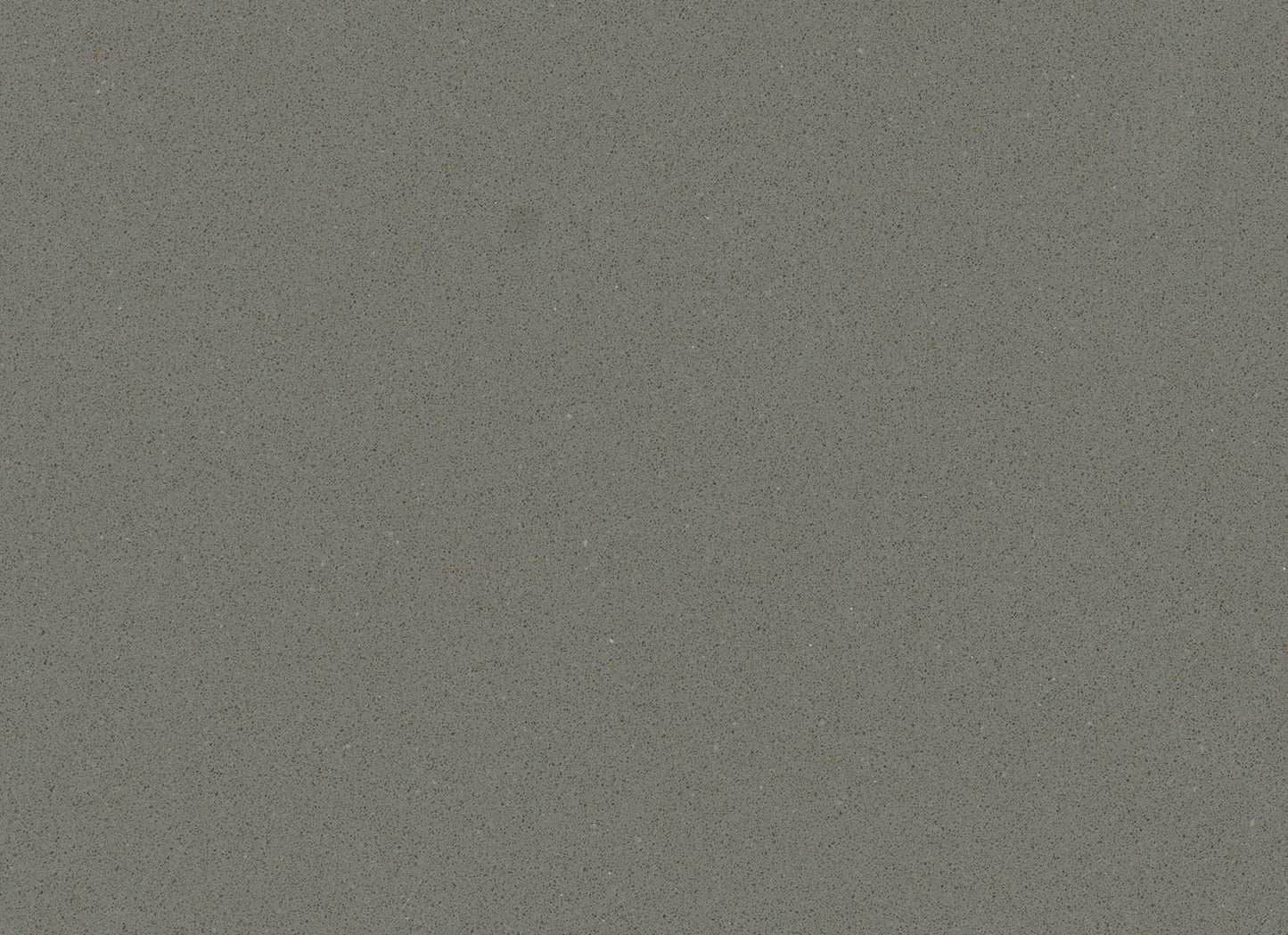 Classic in Graphite Gray
