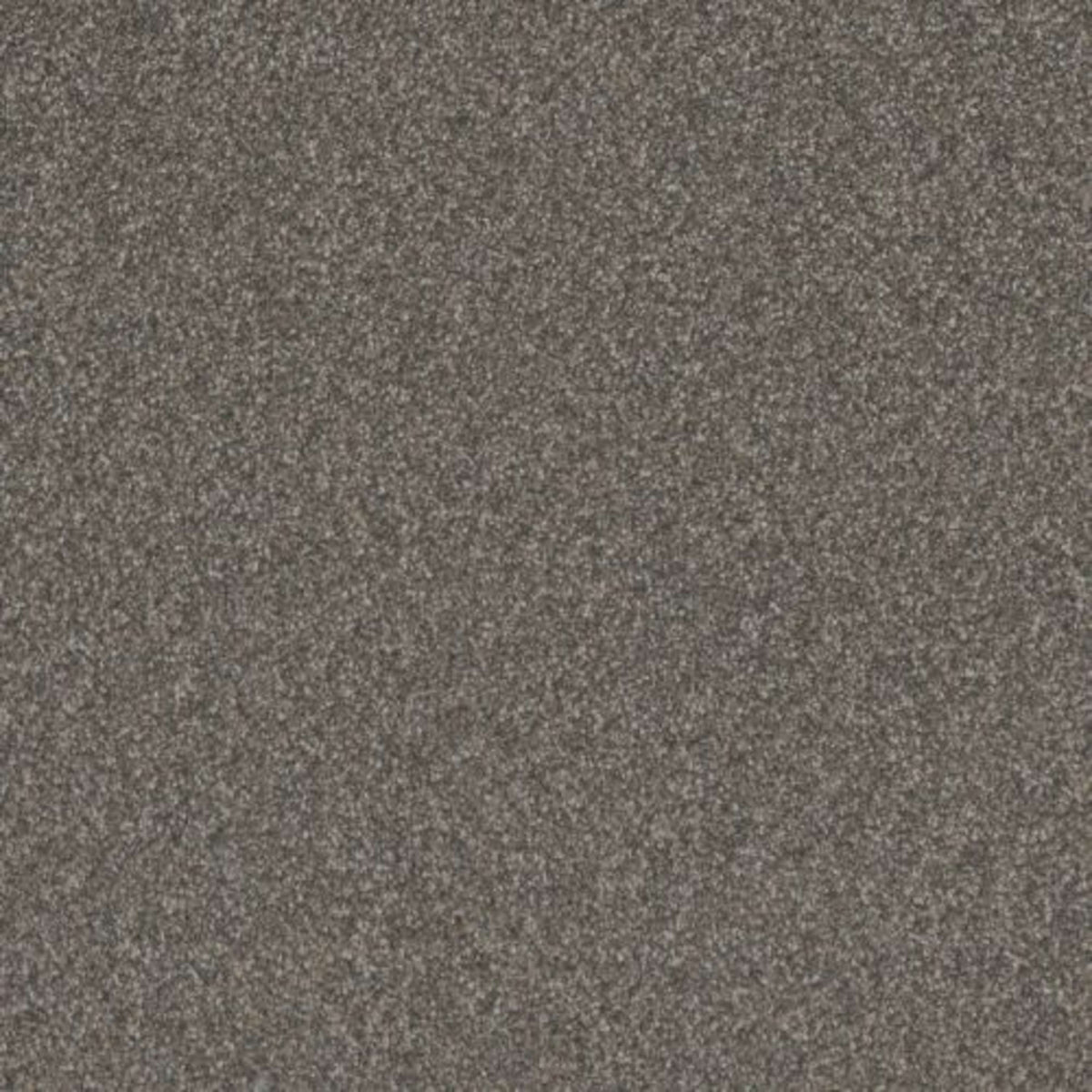 GOLD STANDARD II in Graphite Carpet