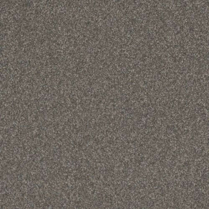GOLD STANDARD II in Graphite Carpet