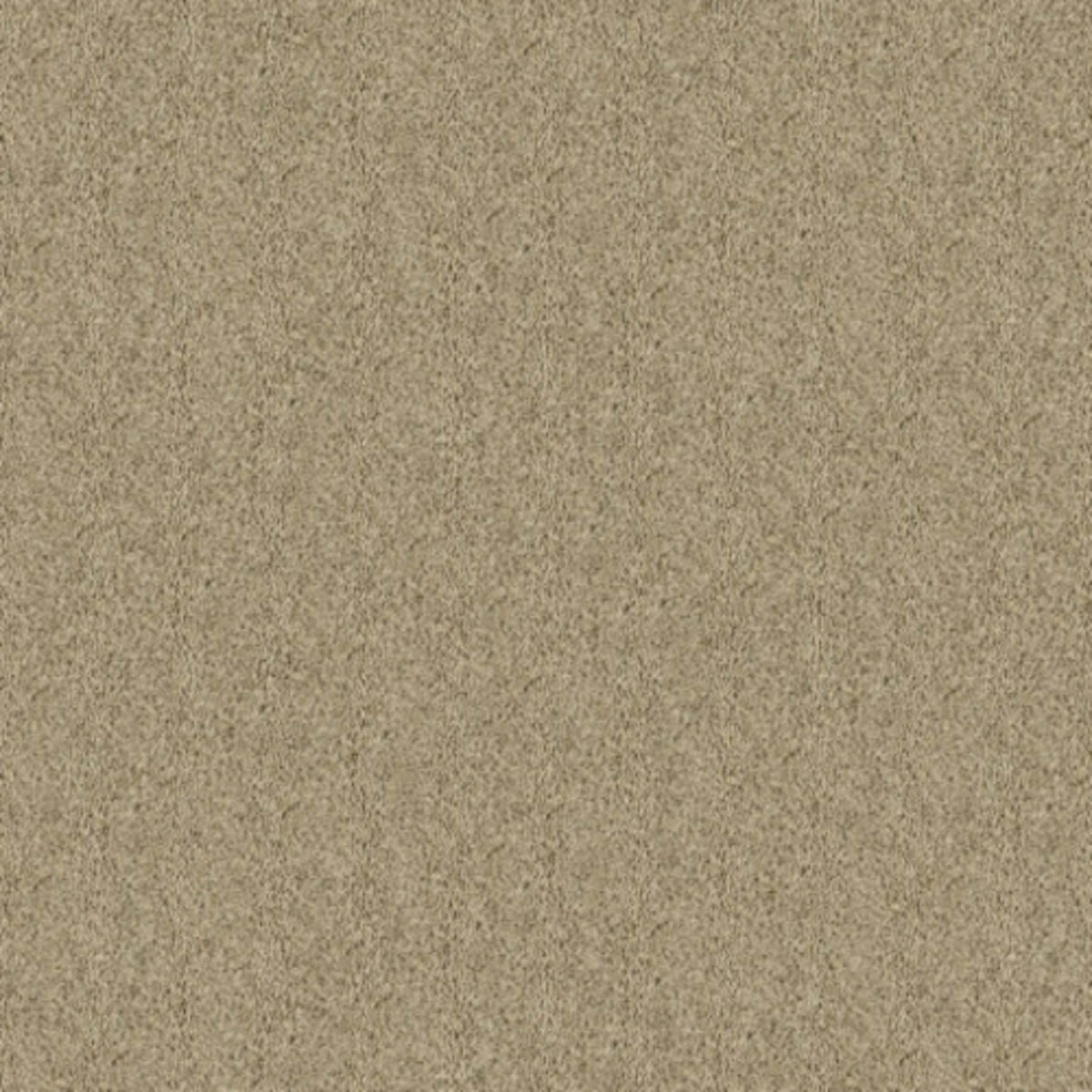Iconic Look I in Greige Carpet
