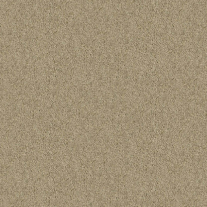 Iconic Look I in Greige Carpet
