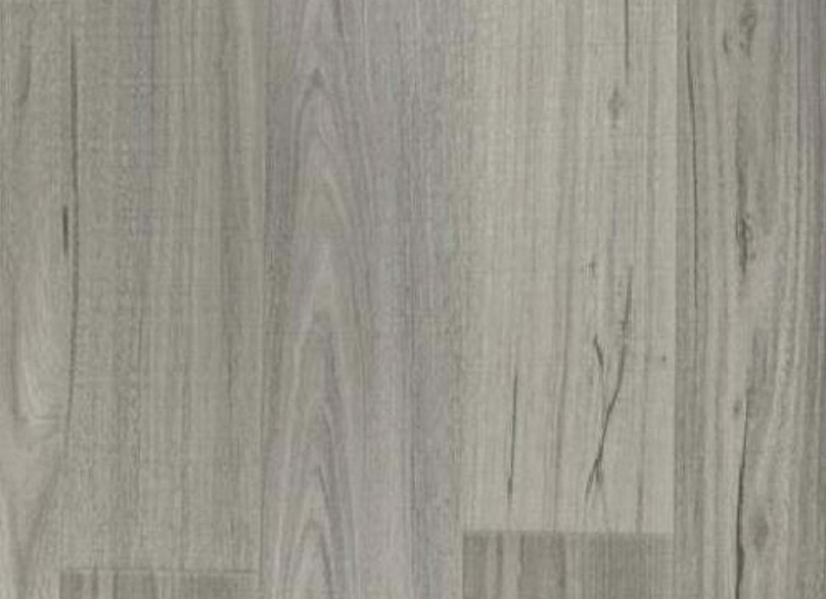 Harmony Collection in Fecility
