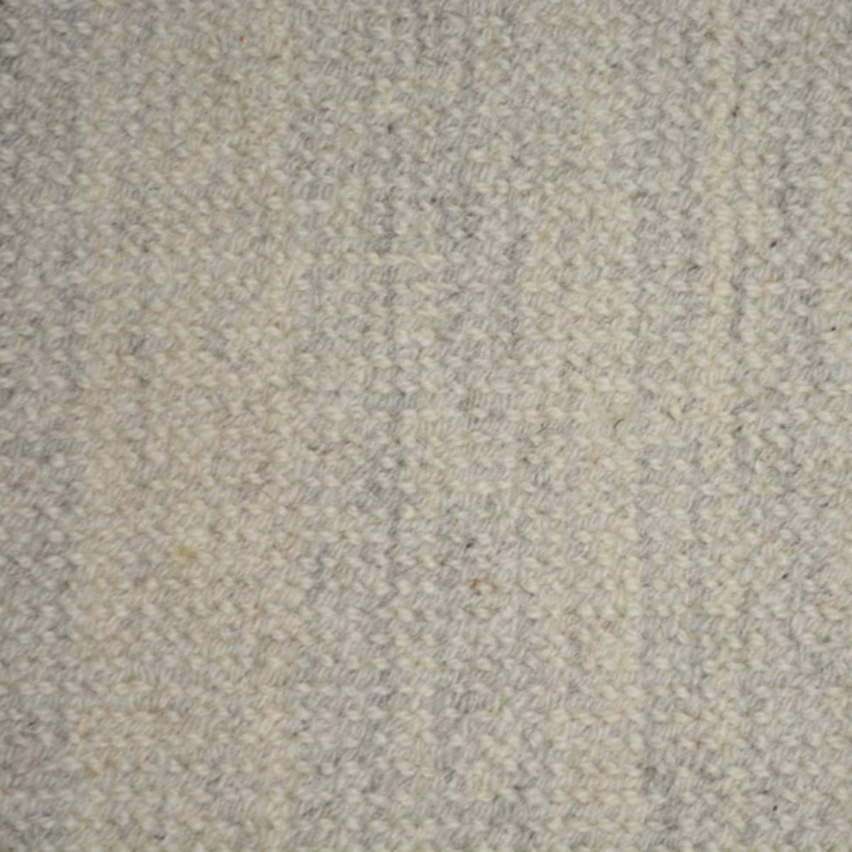 Hermosa in Ivory Carpet