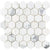 Calacatta in Calacatta 2'' Hexagon Natural Stone