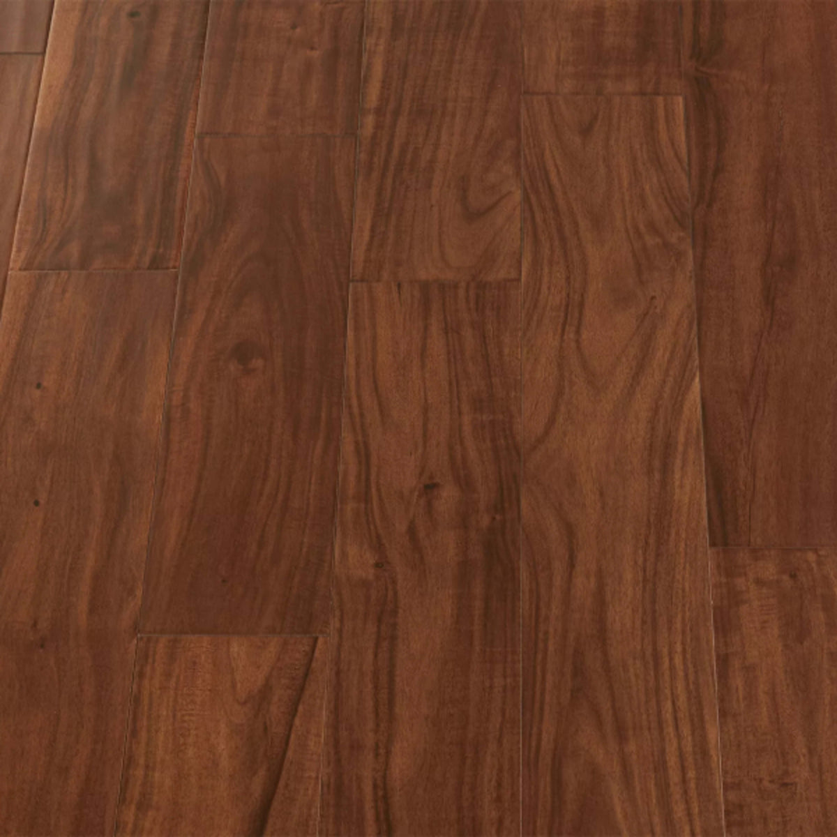 Traditions in Moonlight  Hardwood