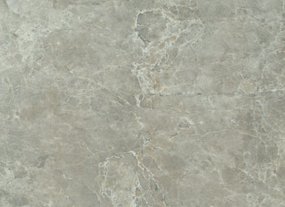 Hydra in Grey 12x24