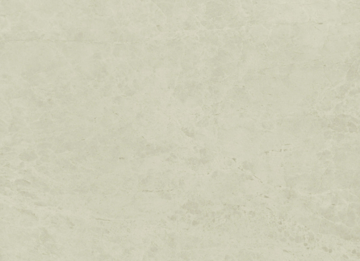 Hydra in White 12x24
