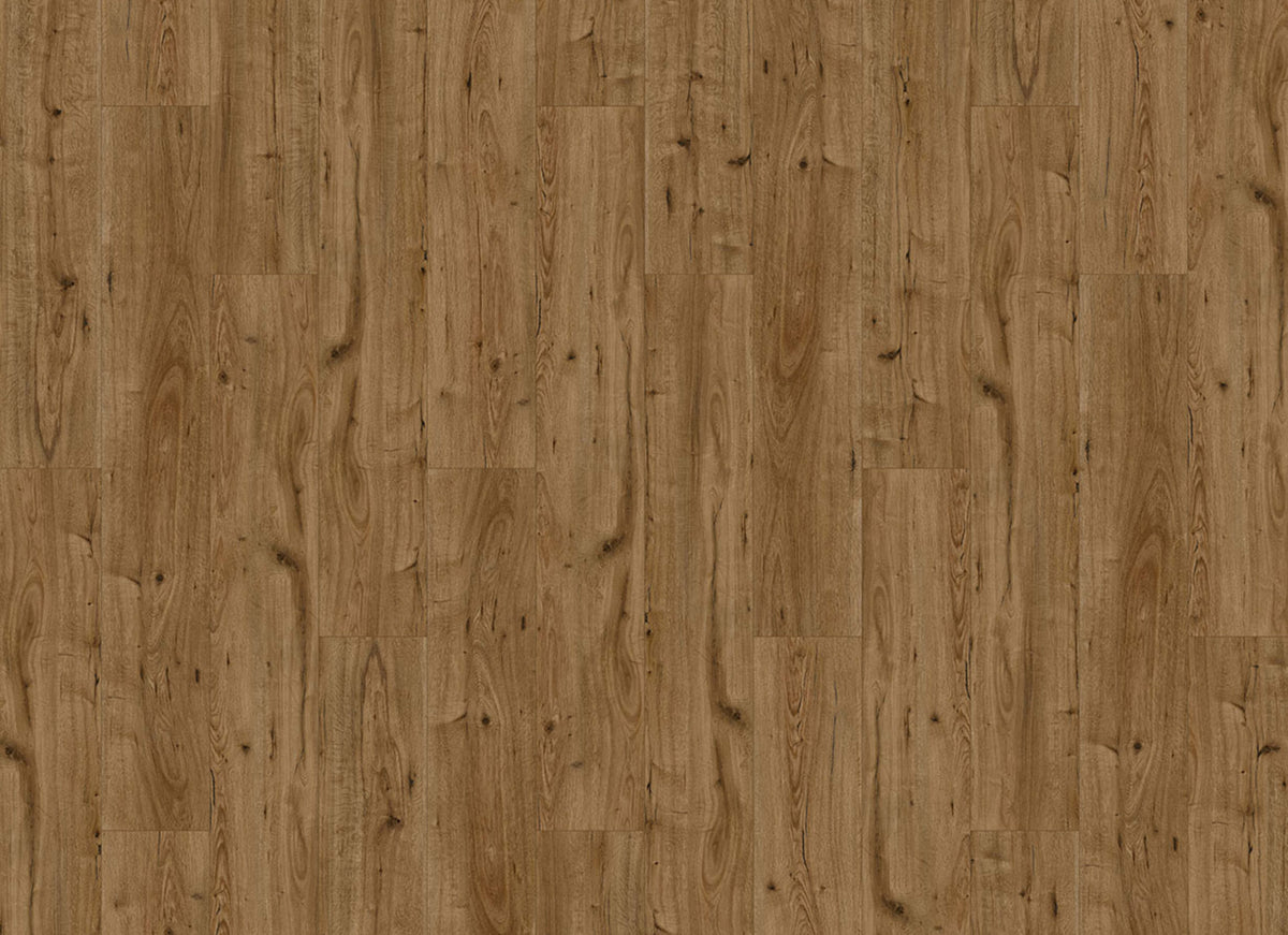 Innovious - Perceptions in Halston Oak
