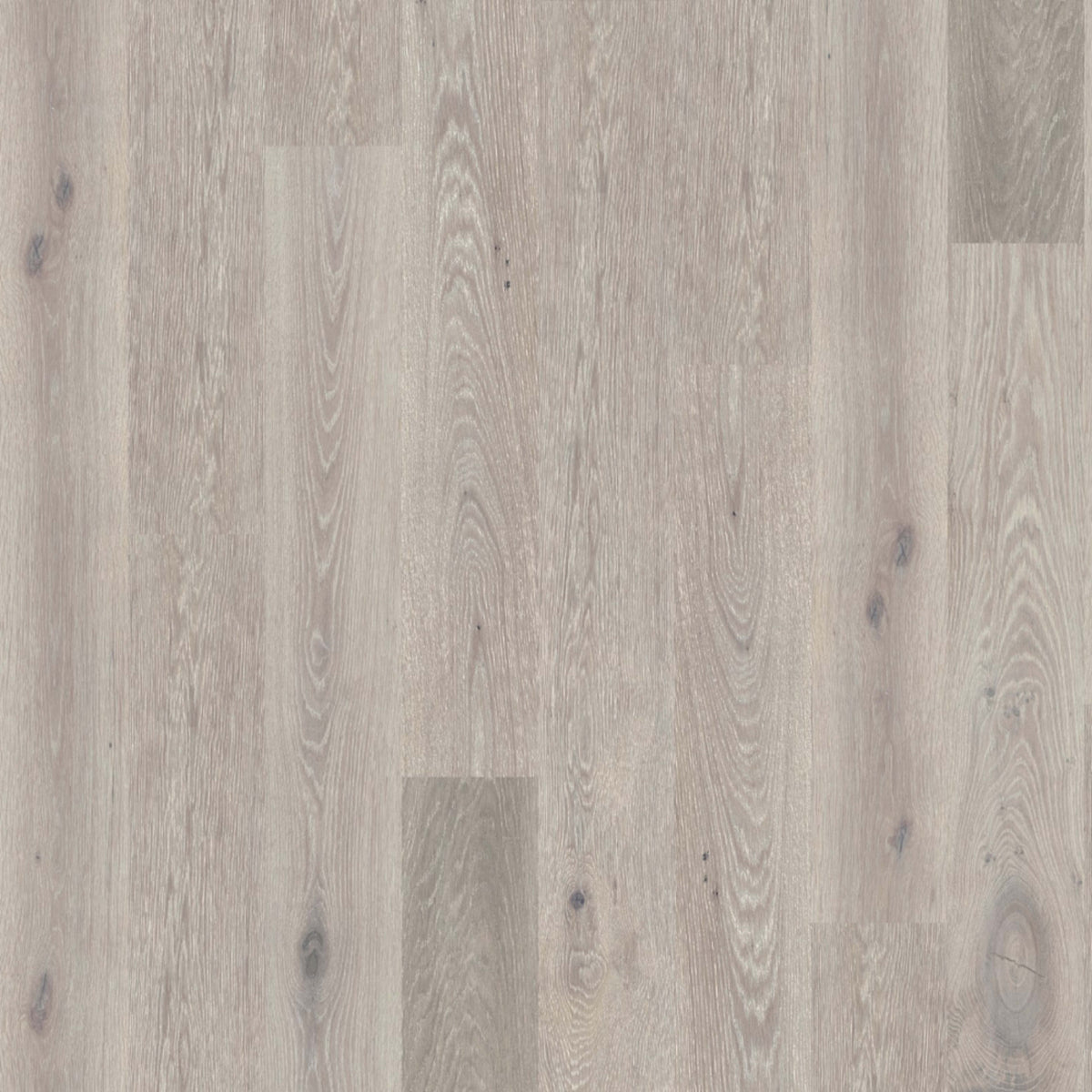 Global Winds in Harmattan Hardwood