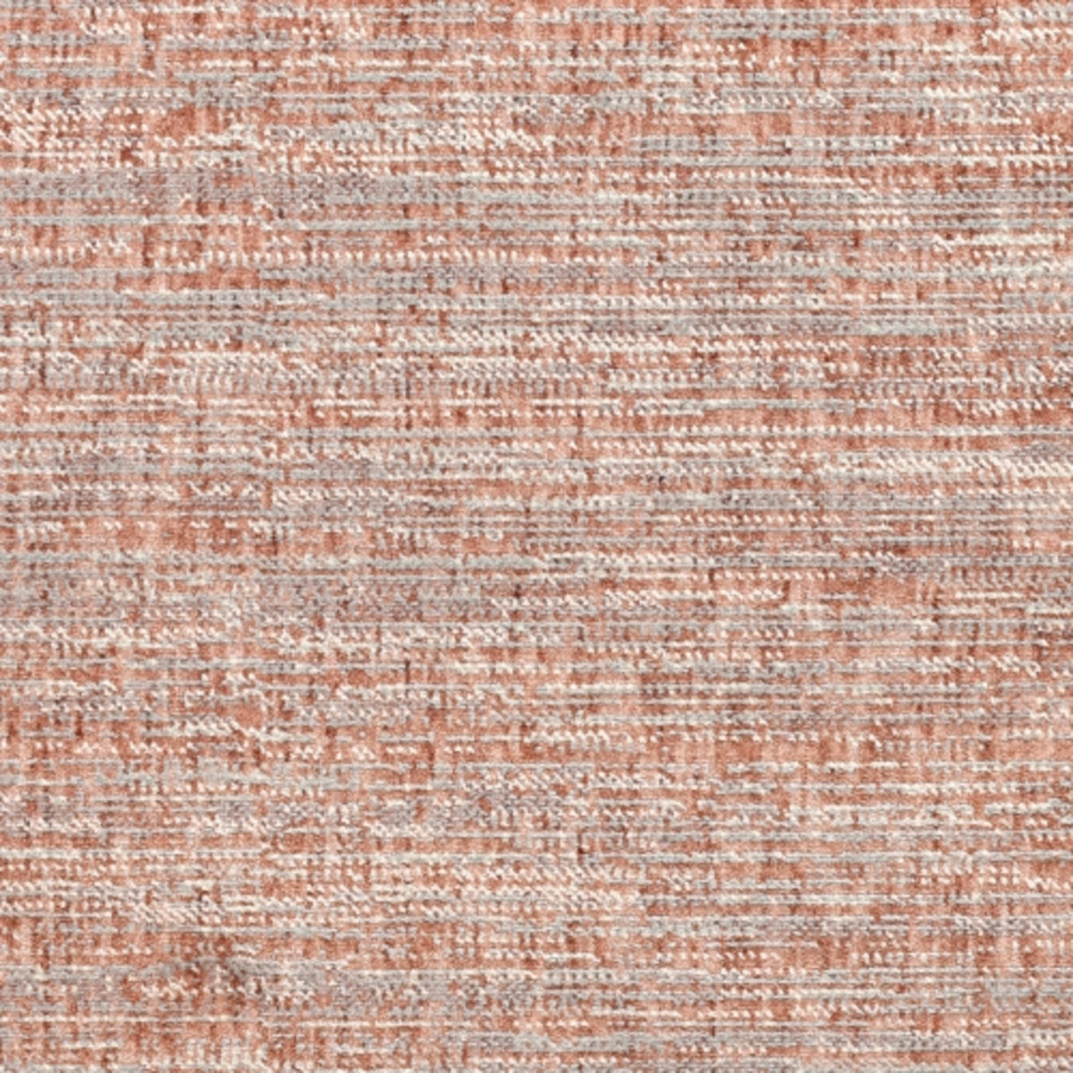 Homey in Posh Carpet