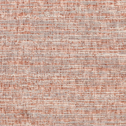 Homey in Posh Carpet