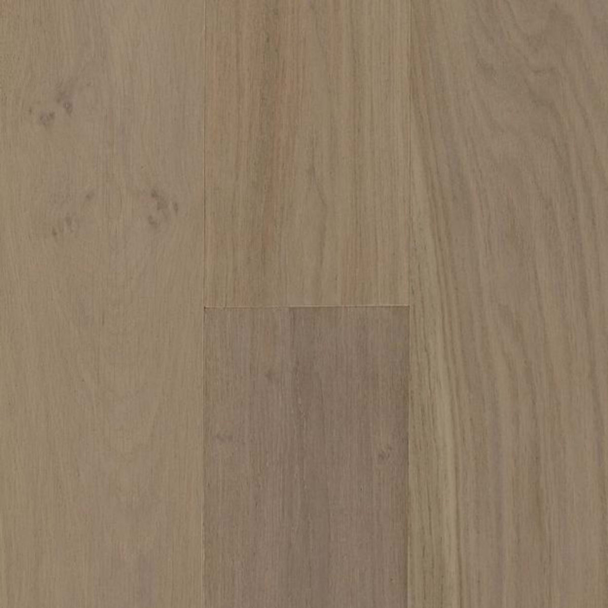 Coastside White Oak Engineered in Huntington Beach 7.48" Hardwood