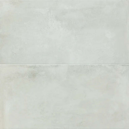Icon in Silver 24x48 Tile