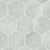 Icon in Silver Hex Tile
