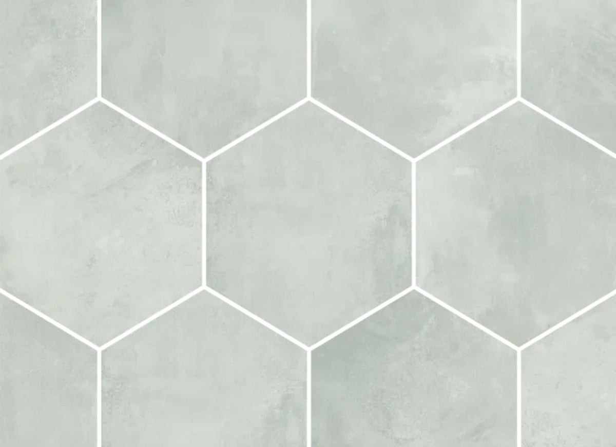 Icon in Silver Hex