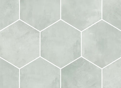 Icon in Silver Hex