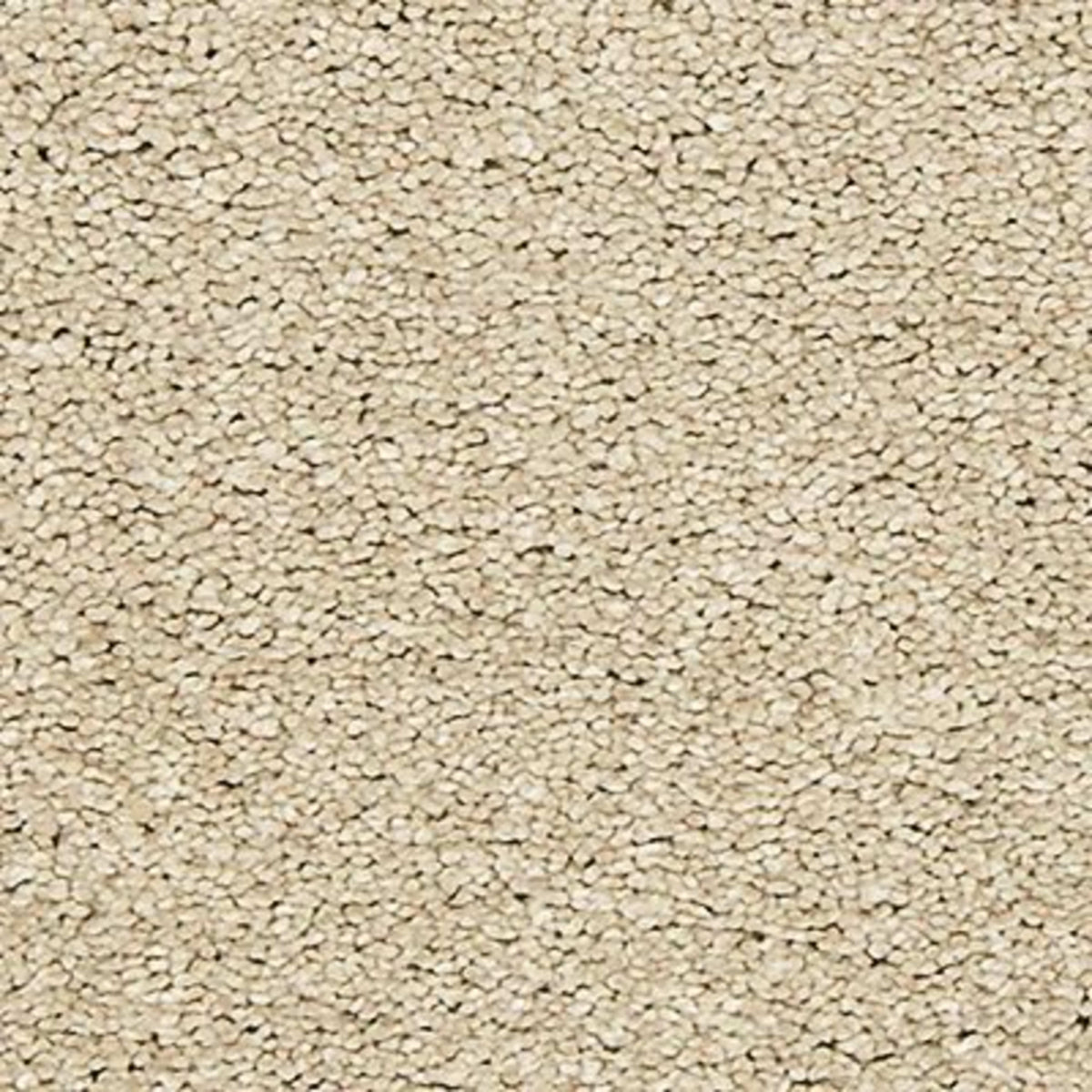 Inspiring in Travel Buff Carpet