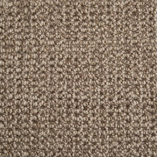 Jagger in Lead Carpet