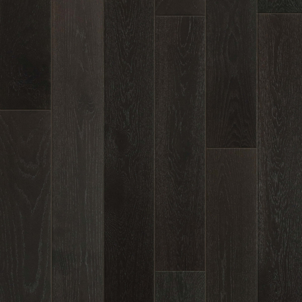 British Isles in Cardiff Hardwood